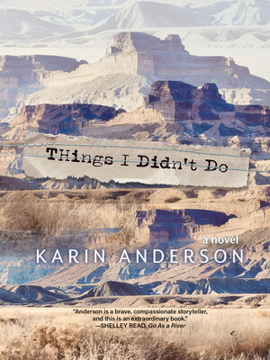 cover image of Things I Didn't Do